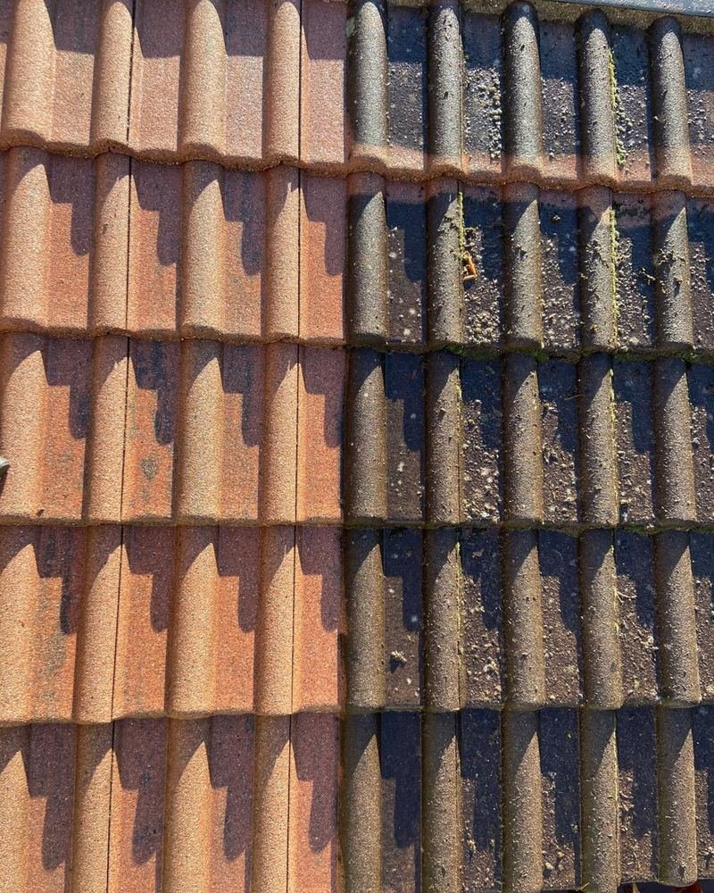 Sur un même versant, des tuiles propres à gauche et des tuiles couvertes de mousse et de lichen à droite